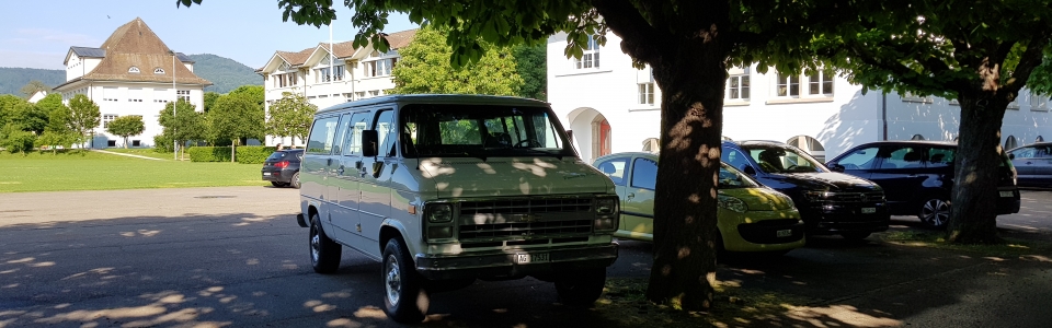 Chevy unter Baum